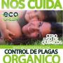 Subido por visitante en 02/11/2016