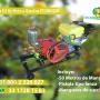 Parihuela Motor 6.5 Hp 50 metros rollo
