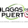 Subido por visitante en 11/11/2015