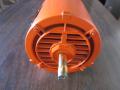 Motor eléctrico de 0.33 hp, 3,425 rpm, trifásico, sin brida