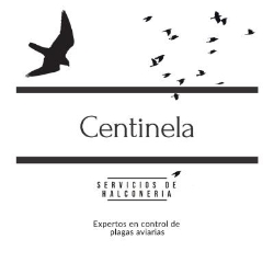 centinela servicios de halconeria