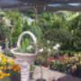 Vivero el Roble 2