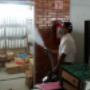 Subido por visitante en 15/12/2015
