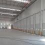 Andenes