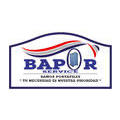 Bapor-Service