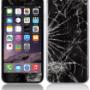 Reparación Celular