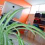 Interior de InCitrus