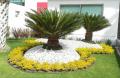 Diseño de jardines
