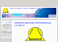 Sitio web de SERINTEX SERVICIOS PROFESIONALES S.A. DE CV