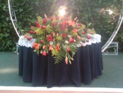 SALON JARDIN FLAMINGOS CASALOT
