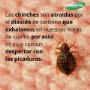 CHINCHE
