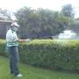 Servicio en Jardines