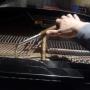 afinación de pianos y pianolas