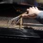 afinación de pianos y pianolas
