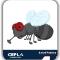 cepla-fumigaciones-contr