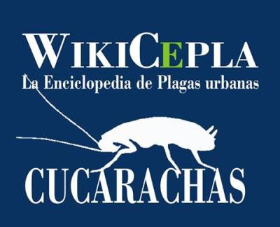 cucarachas