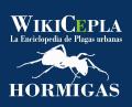 HORMIGAS