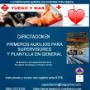 Subido por visitante en 06/03/2016