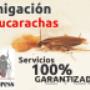 Subido por visitante en 12/03/2016