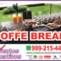 COFFE BEAK