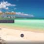 Investment & Opportunities website