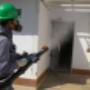 nuestros servicios