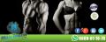 Programa-Profesional