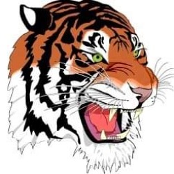 El Tigre Reparaciones