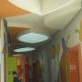CRIT TELETON