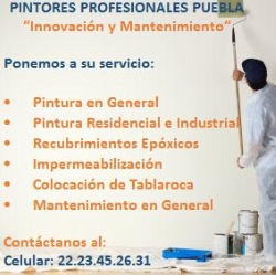 Pintores Profesionales Puebla