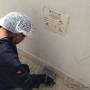 Subido por visitante en 18/10/2016
