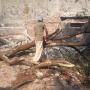 Subido por visitante en 21/04/2016