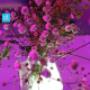 Subido por visitante en 27/04/2016 - video boda monterrey
