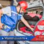 Subido por visitante en 05/07/2016