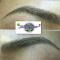 Microblading