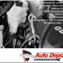Servicios