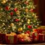 Subido por visitante en 10/06/2016 - Arbol de Navidad