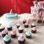 Paquete Frozen - Cup Cakes y Pastel personalizado