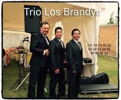 Trio Los Brandys
