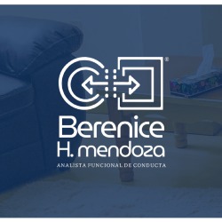 Berenice Hinojosa Mendoza. Analista funcional con enfoque conductual contextual