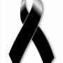 Subido por visitante en 07/12/2017