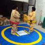 lucha sumo