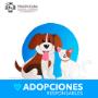 Adopciones