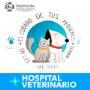 Servicios