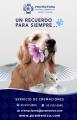 Cremacion de mascotas