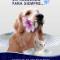 Cremaciones-mascotas