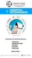 Hospital Veterinario