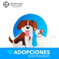 ADOPCIONES