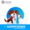 adopciones-responsables-protectora-nacional-de-animales-cdmx