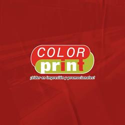 COLOR PRINT PUBLICIDAD PROFESIONAL SA DE CV